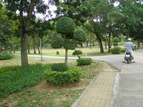 10_pavaghemparken.jpg