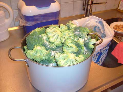 1_broccoli.jpg