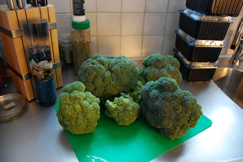 1_broccoliattansa.jpg