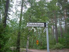 1_guldvagen.jpg