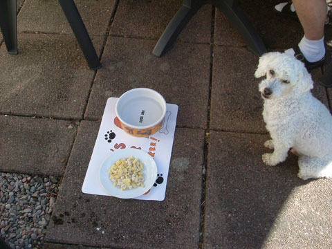 1_hundfrukost.jpg