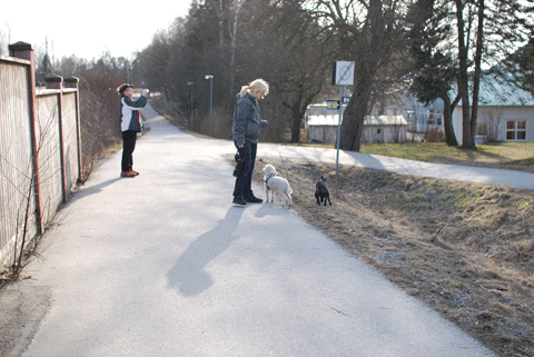 2_promenad.gif