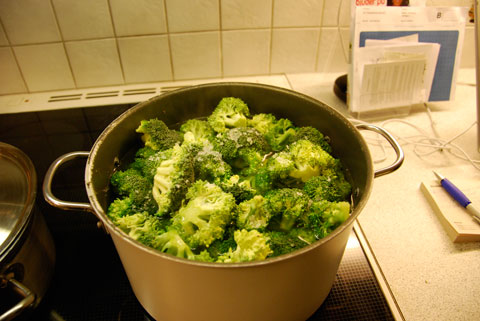 4_broccolikokas.jpg