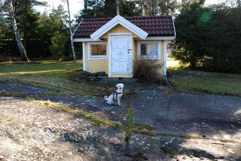 4_mittsommarhus.jpg