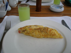 4_omlettigen.jpg