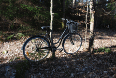 7_cykelparkering1.gif
