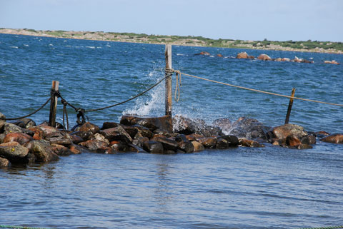 7_fiskehamnen.jpg