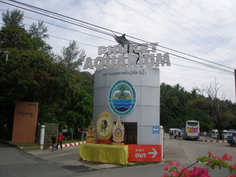 8_phuketaquarium.jpg