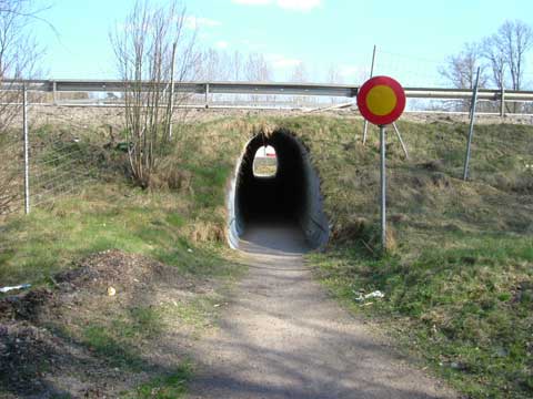 tunnel.jpg